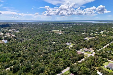 Land in Port Charlotte, Florida № 2396205 - photo 12