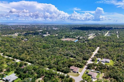 Land in Port Charlotte, Florida № 2396205 - photo 30