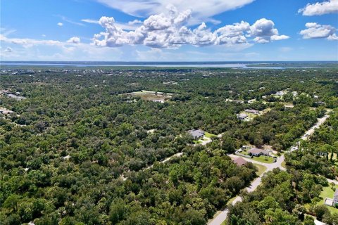 Land in Port Charlotte, Florida № 2396205 - photo 13