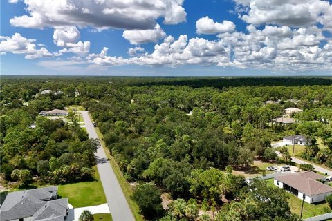 Land in Port Charlotte, Florida № 2396205 - photo 4