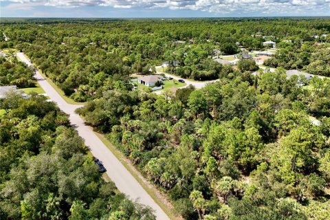 Land in Port Charlotte, Florida № 2396205 - photo 7