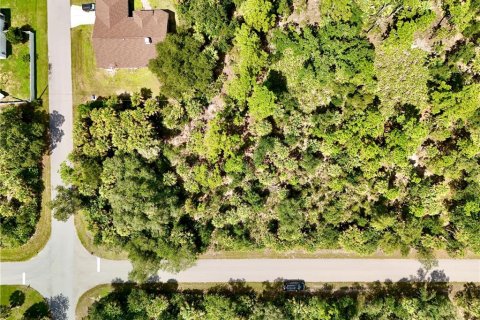 Land in Port Charlotte, Florida № 2396205 - photo 8