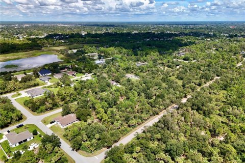 Land in Port Charlotte, Florida № 2396205 - photo 24