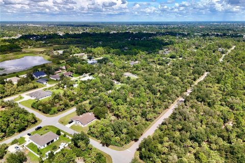 Land in Port Charlotte, Florida № 2396205 - photo 25