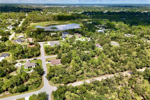 Land in Port Charlotte, Florida № 2396205 - photo 23