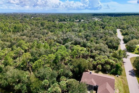 Land in Port Charlotte, Florida № 2396205 - photo 6