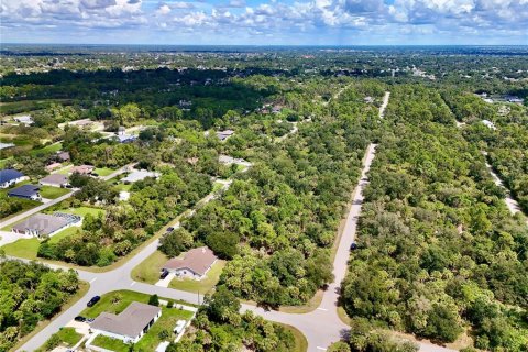 Land in Port Charlotte, Florida № 2396205 - photo 9