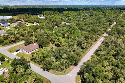 Land in Port Charlotte, Florida № 2396205 - photo 16