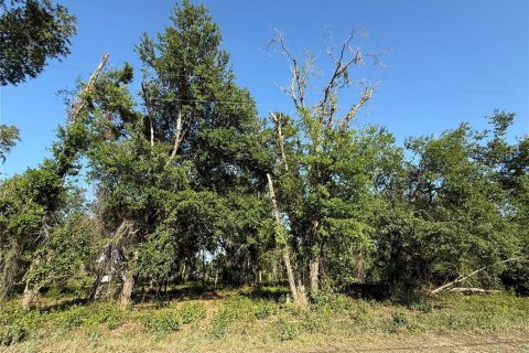 Terreno en venta en Zephyrhills, Florida № 1733807 - foto 1