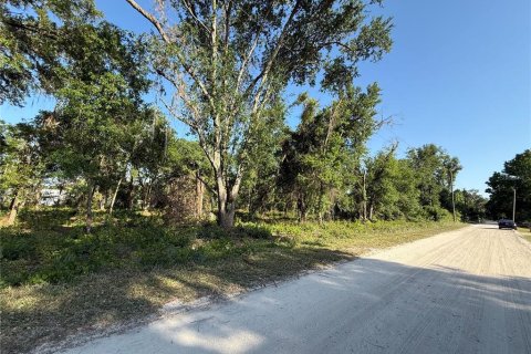 Terreno en venta en Zephyrhills, Florida № 1733807 - foto 2