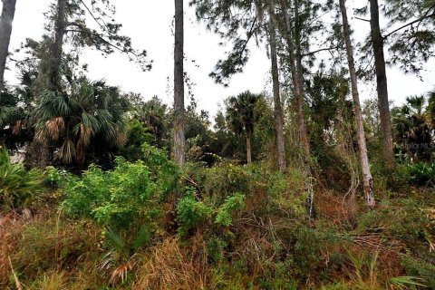 Land in North Port, Florida № 2159080