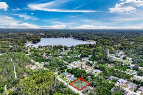 Terrain à vendre à New Port Richey, Floride № 1901484 - photo 4