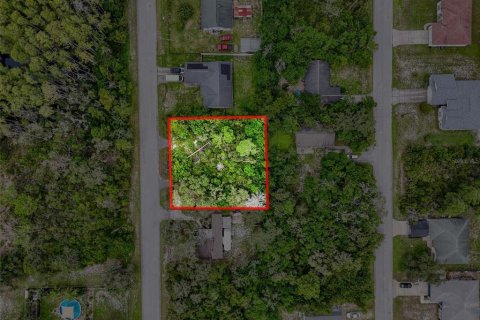 Terrain à vendre à New Port Richey, Floride № 1901484 - photo 20