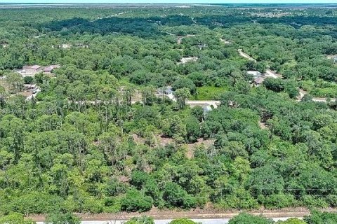 Terreno en venta en Lehigh Acres, Florida № 2097452 - foto 5