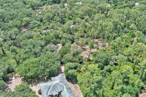 Terreno en venta en Lehigh Acres, Florida № 2097452 - foto 10