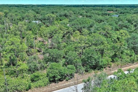 Terreno en venta en Lehigh Acres, Florida № 2097452 - foto 3