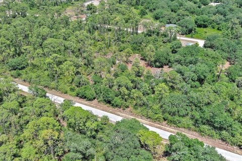 Terreno en venta en Lehigh Acres, Florida № 2097452 - foto 6