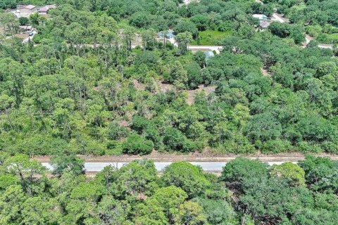Terreno en venta en Lehigh Acres, Florida № 2097452 - foto 4