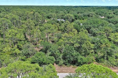Terreno en Lehigh Acres, Florida № 2097452