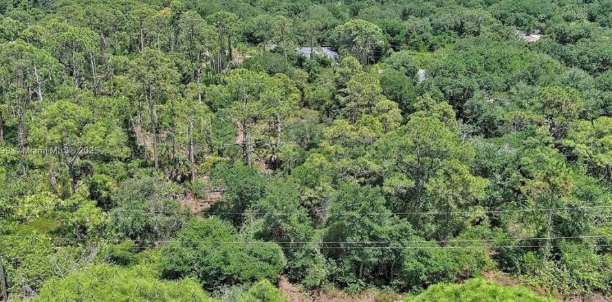 Terreno en Lehigh Acres, Florida № 2097452