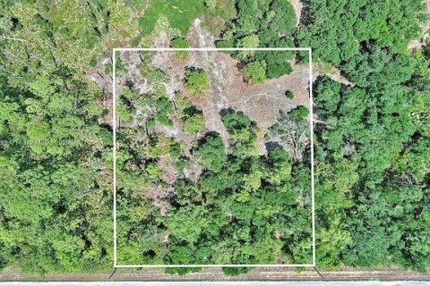 Terreno en venta en Lehigh Acres, Florida № 2097452 - foto 2
