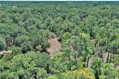Terreno en venta en Lehigh Acres, Florida № 2097452 - foto 13