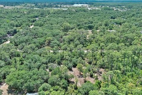 Terreno en venta en Lehigh Acres, Florida № 2097452 - foto 11