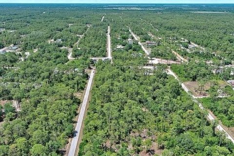 Terreno en venta en Lehigh Acres, Florida № 2097452 - foto 9