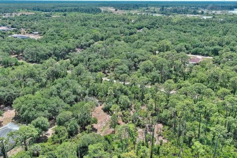 Terreno en venta en Lehigh Acres, Florida № 2097452 - foto 12