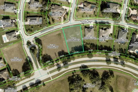 Land in Spring Hill, Florida № 2217730