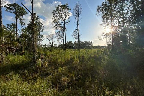 Land in Punta Gorda, Florida № 1852946 - photo 10