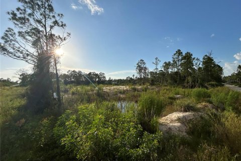Land in Punta Gorda, Florida № 1852946 - photo 4