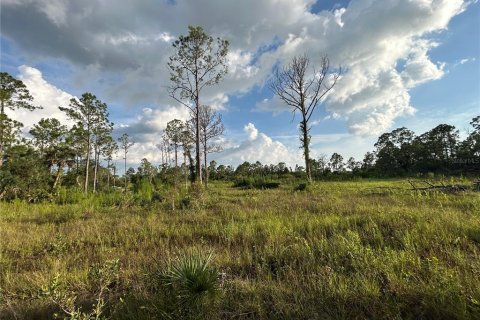 Land in Punta Gorda, Florida № 1852946 - photo 9