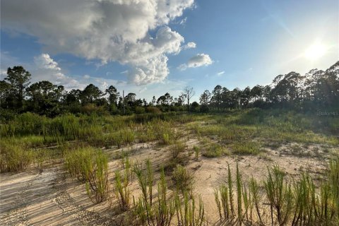 Land in Punta Gorda, Florida № 1852946 - photo 3