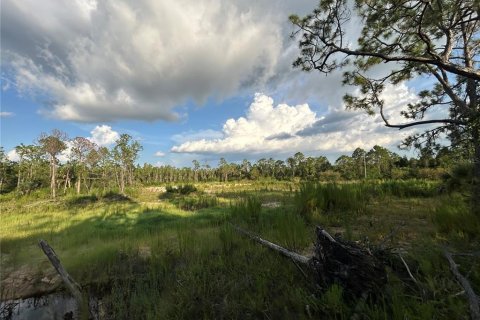 Land in Punta Gorda, Florida № 1852946 - photo 6