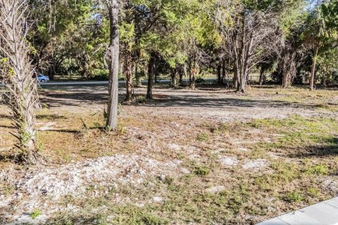 Terrain à vendre à Crystal River, Floride № 2213334 - photo 4
