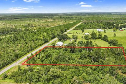 Land in Wewahitchka, Florida № 2120289 - photo 2