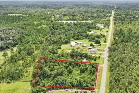 Land in Wewahitchka, Florida № 2120289 - photo 4