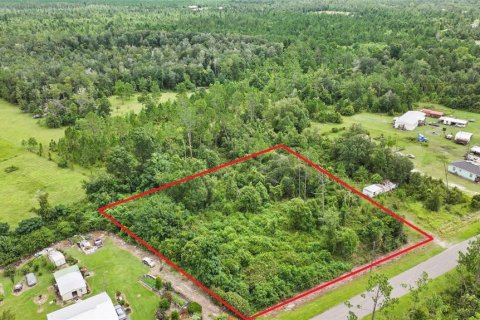 Land in Wewahitchka, Florida № 2120289