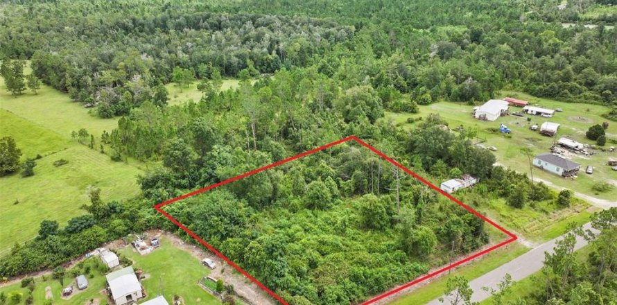 Land in Wewahitchka, Florida № 2120289