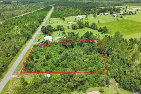 Land in Wewahitchka, Florida № 2120289 - photo 3