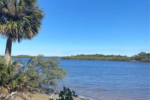 Land in Flagler Beach, Florida № 1515448 - photo 11