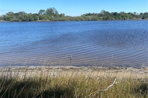 Land in Flagler Beach, Florida № 1515448 - photo 10