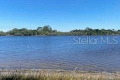 Land in Flagler Beach, Florida № 1515448 - photo 8