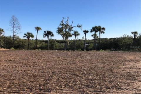 Land in Flagler Beach, Florida № 1515448 - photo 7