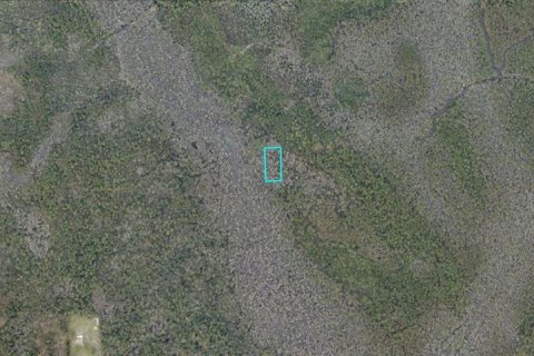 Land in Lake Helen, Florida № 2370881 - photo 2