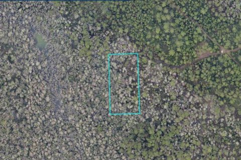 Land in Lake Helen, Florida № 2370881