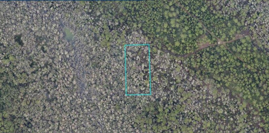 Land in Lake Helen, Florida № 2370881