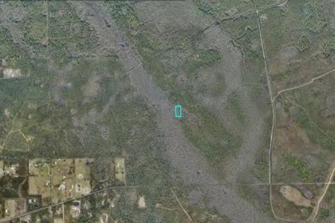 Land in Lake Helen, Florida № 2370881 - photo 3