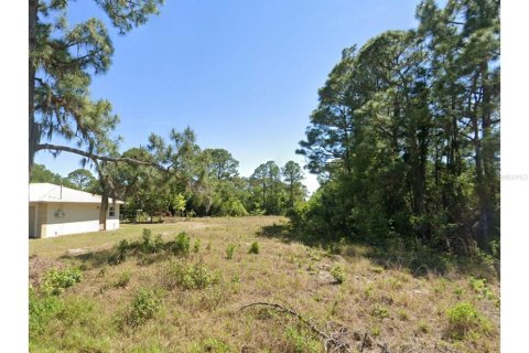 Land in Lake Placid, Florida № 2159674 - photo 2